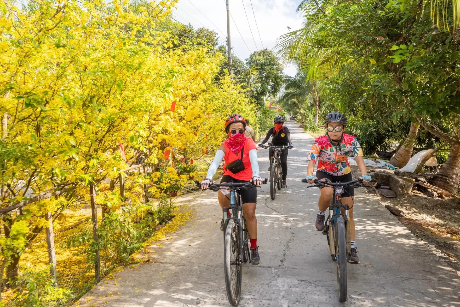 Vietnam Heritage Routes & Cycling Vacation on the Central Coast 15 Days
